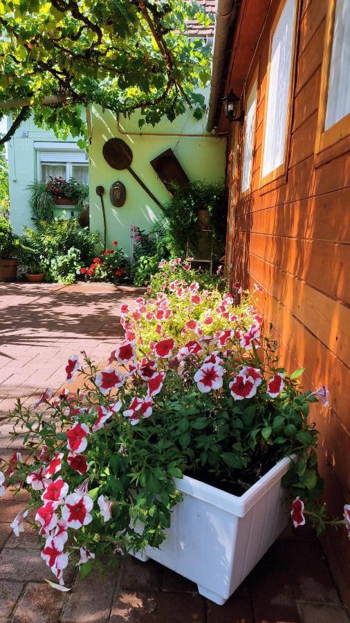 Hotel Opusztaszeri Mozes Vendeghaz Exterior foto