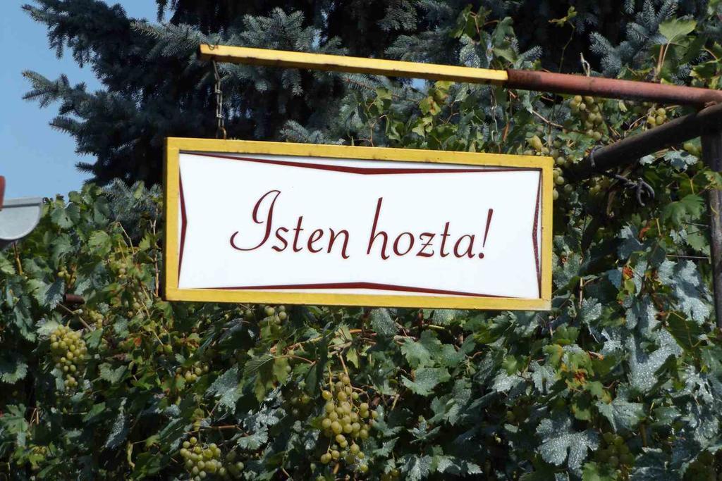 Hotel Opusztaszeri Mozes Vendeghaz Exterior foto